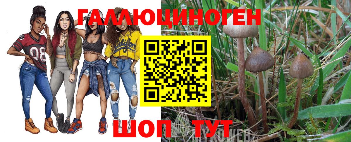 Псилоцибиновые грибы MAGIC MUSHROOMS Санкт-Петербург