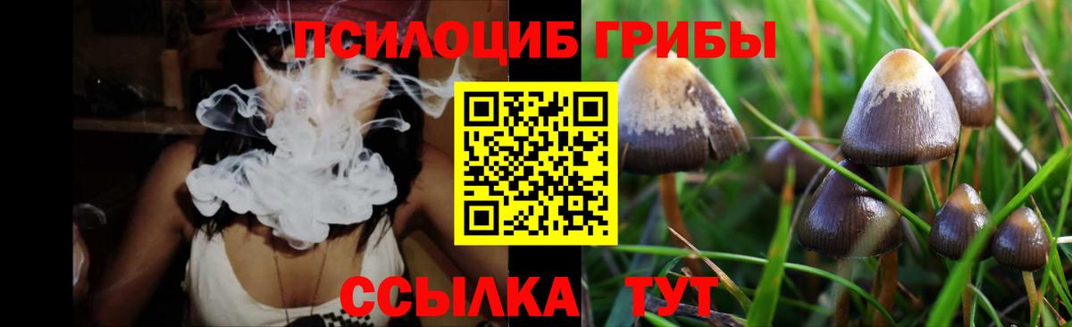 магазин    Вход с VPN  Санкт-Петербург  Псилоцибиновые грибы MAGIC MUSHROOMS 